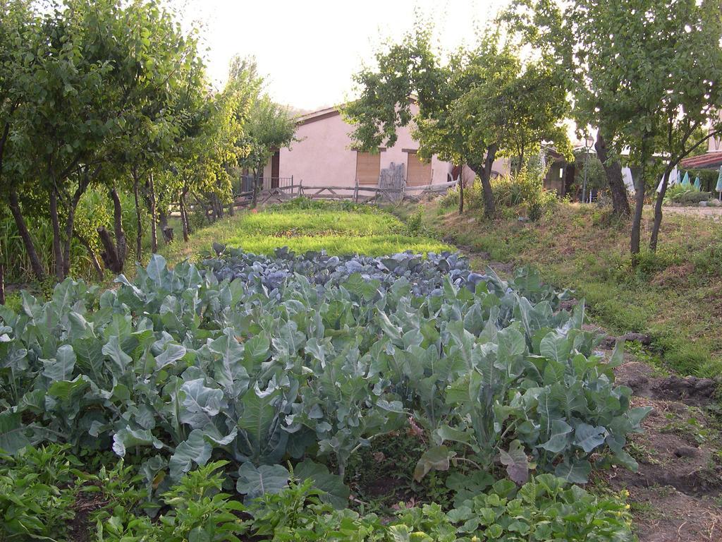 מלון סגוביה La Huerta De San Lorenzo מראה חיצוני תמונה